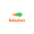 BAKECHEM INTERNATIONAL LIMITED Logo