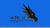 Chongqing Aorun Industrial Co., Ltd. Logo